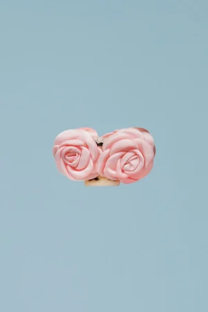 Cheap PINZA LOLEAROSA Accesorios para el pelo